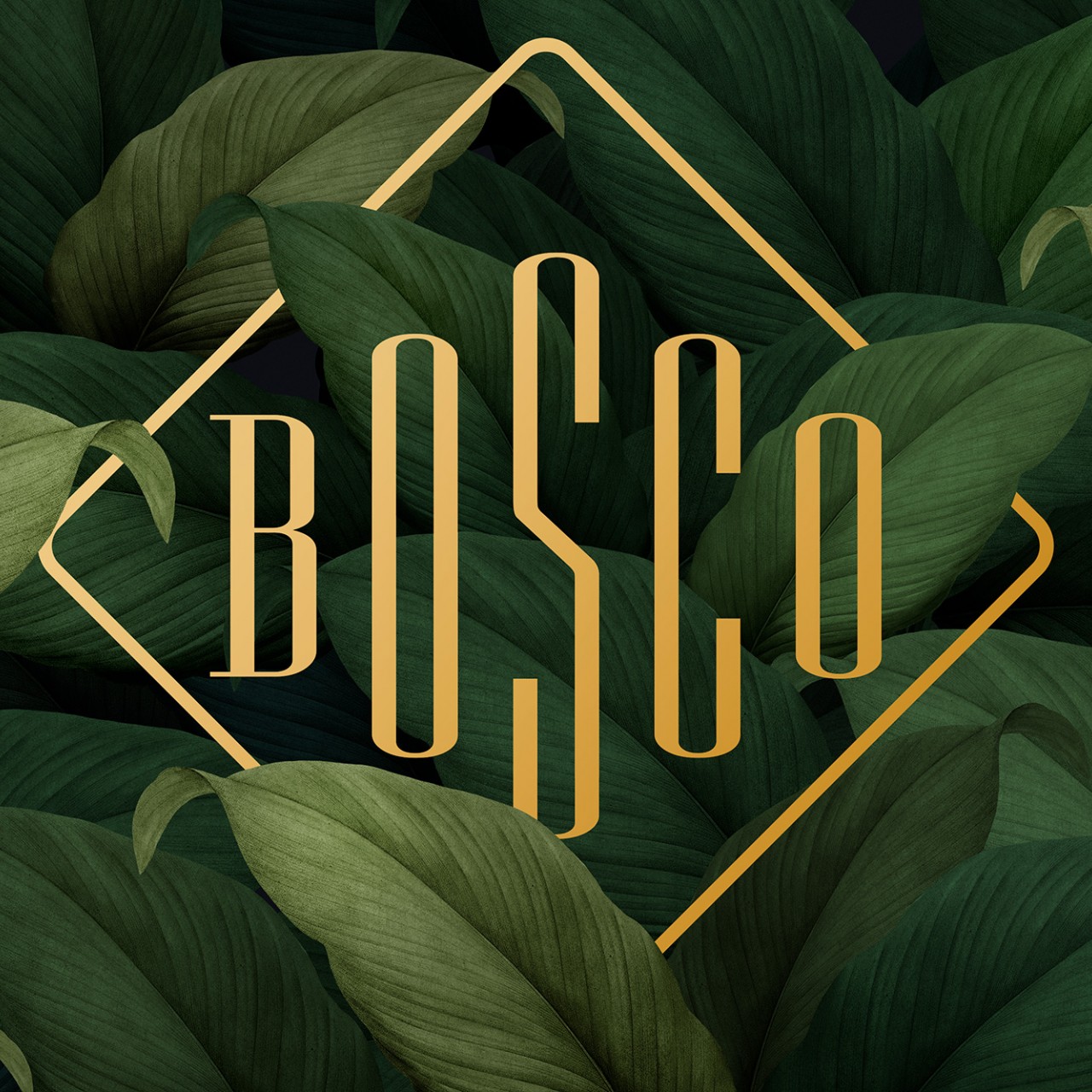 BOSCO identyfikacja logo strona internetowa